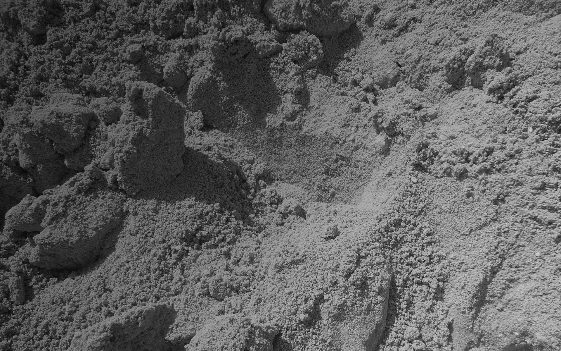 Os principais serviços que temos ao dispor dos nossos clientes são